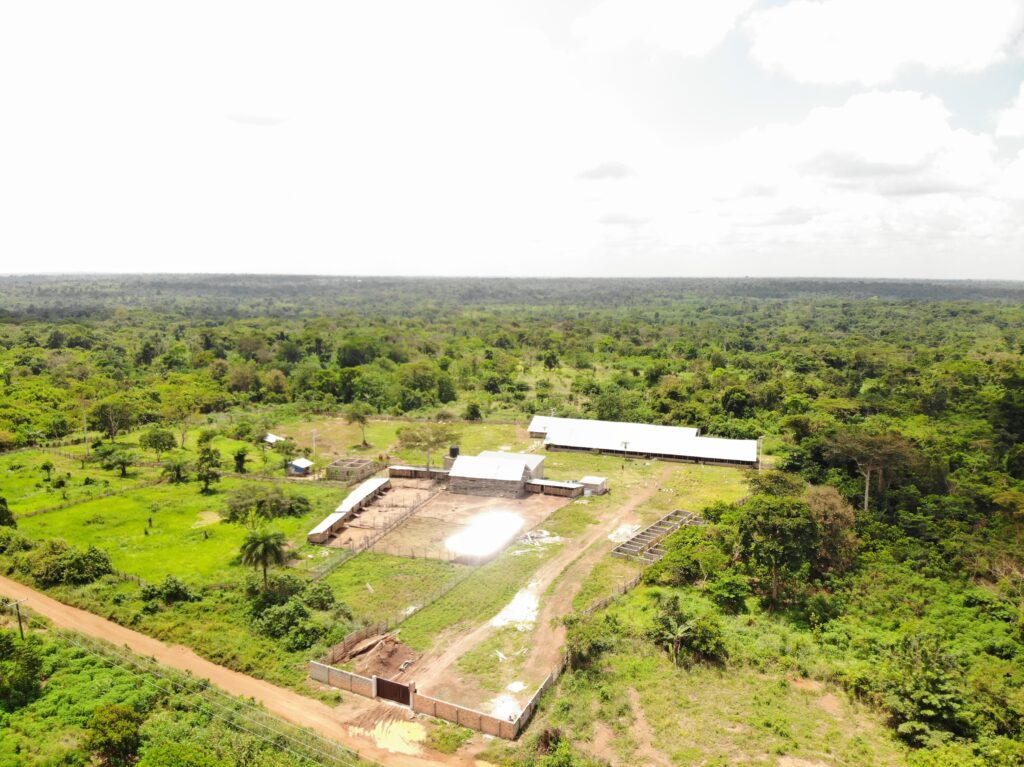 created by dji camera