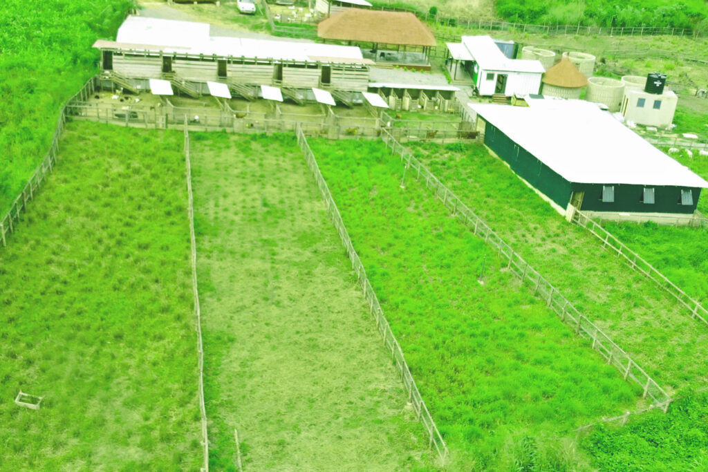 Drone shot SF Suhum
